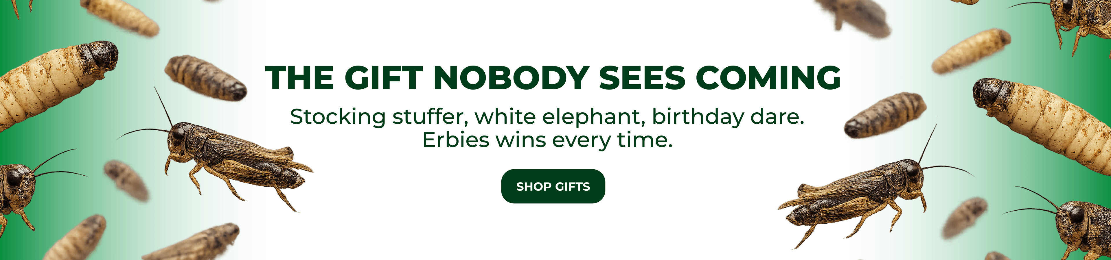 The Gift Nobody Sees Coming — Shop Erbies